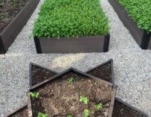 Грядки из ДПК Минск